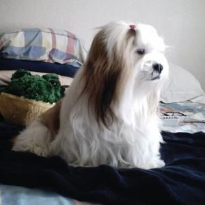 Meet your Posher, Melody